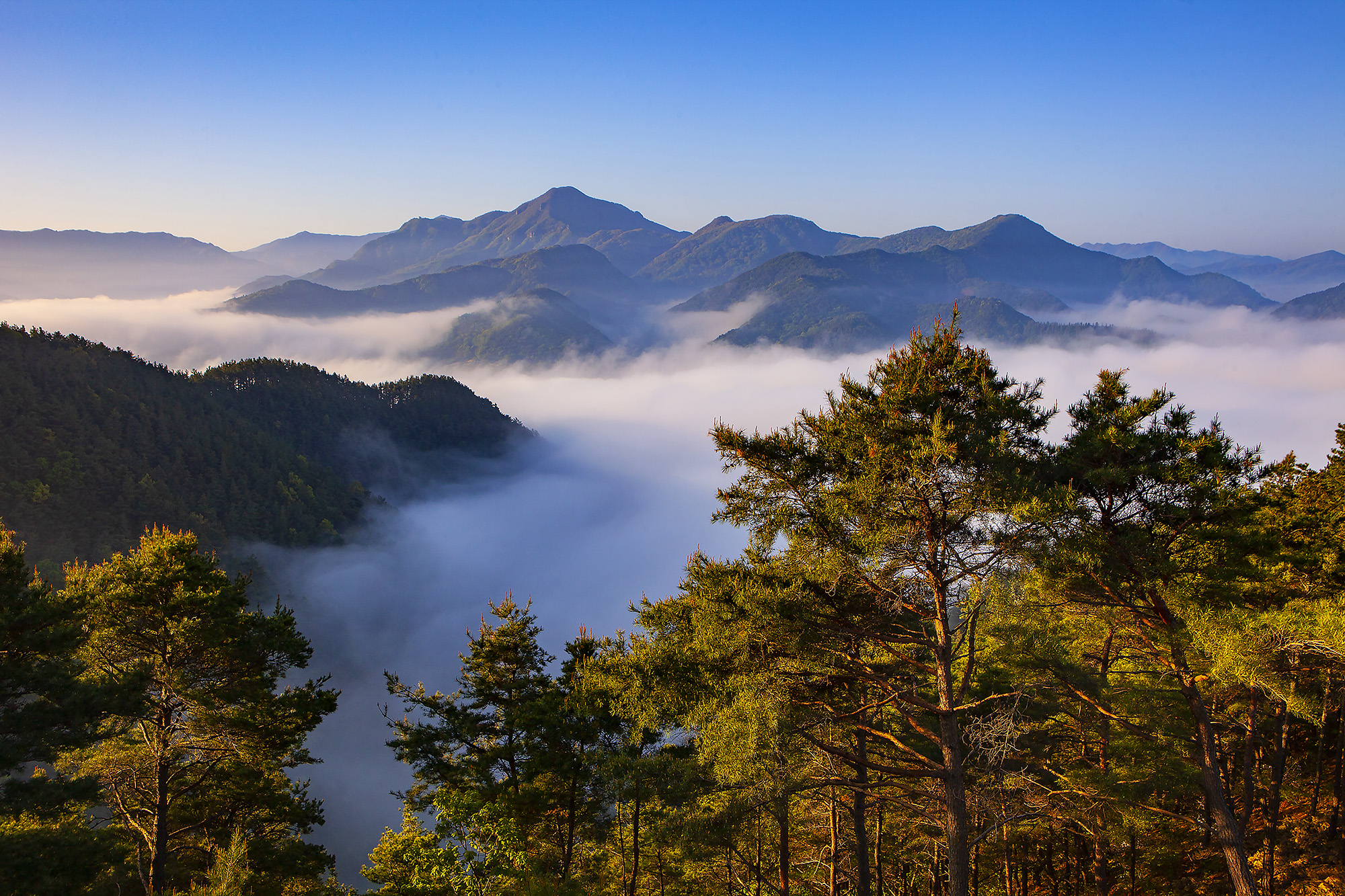 향로산의 봄 