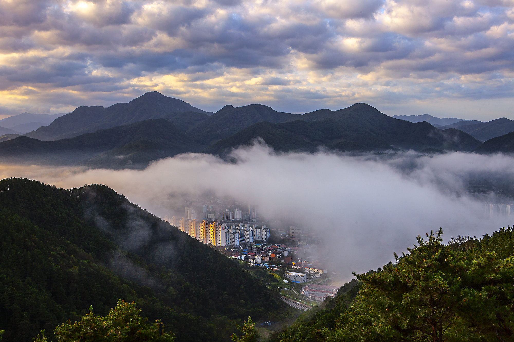 향로산아침