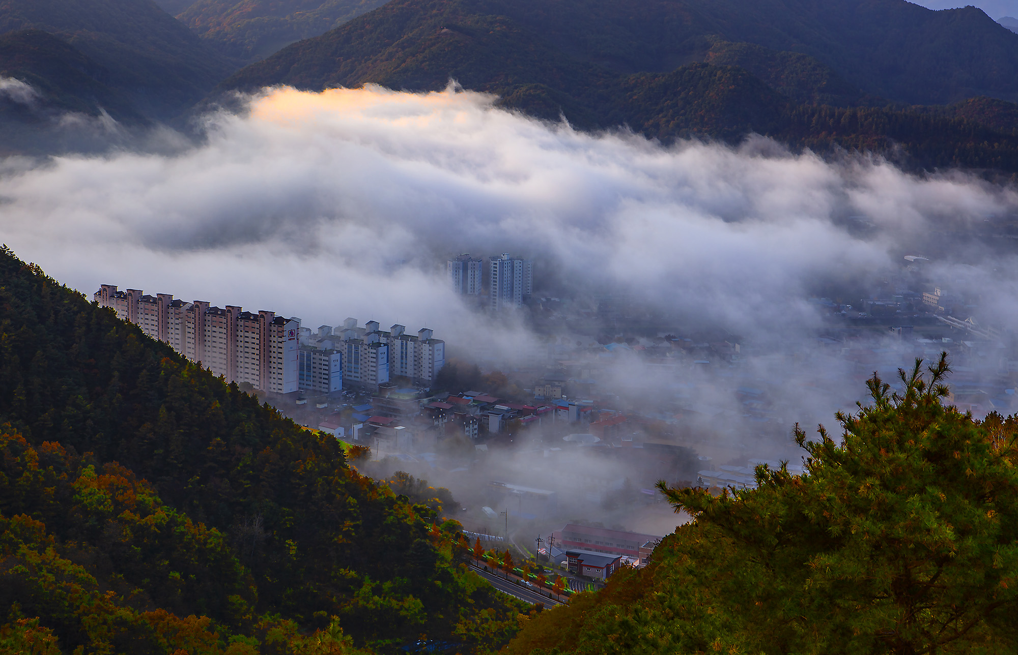 향로산아침