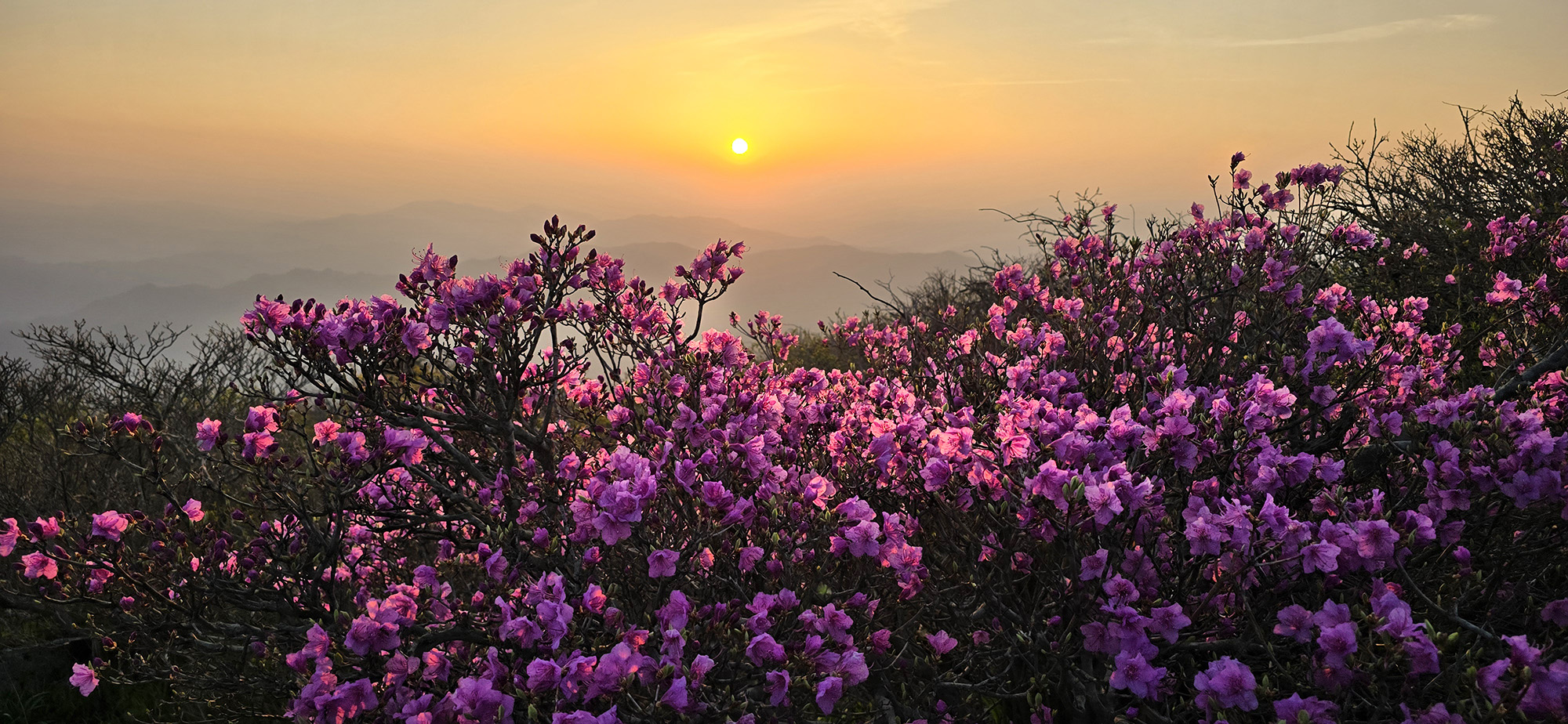 덕유산의 봄