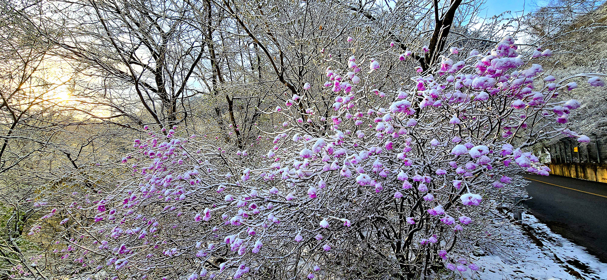 적상산 춘설
