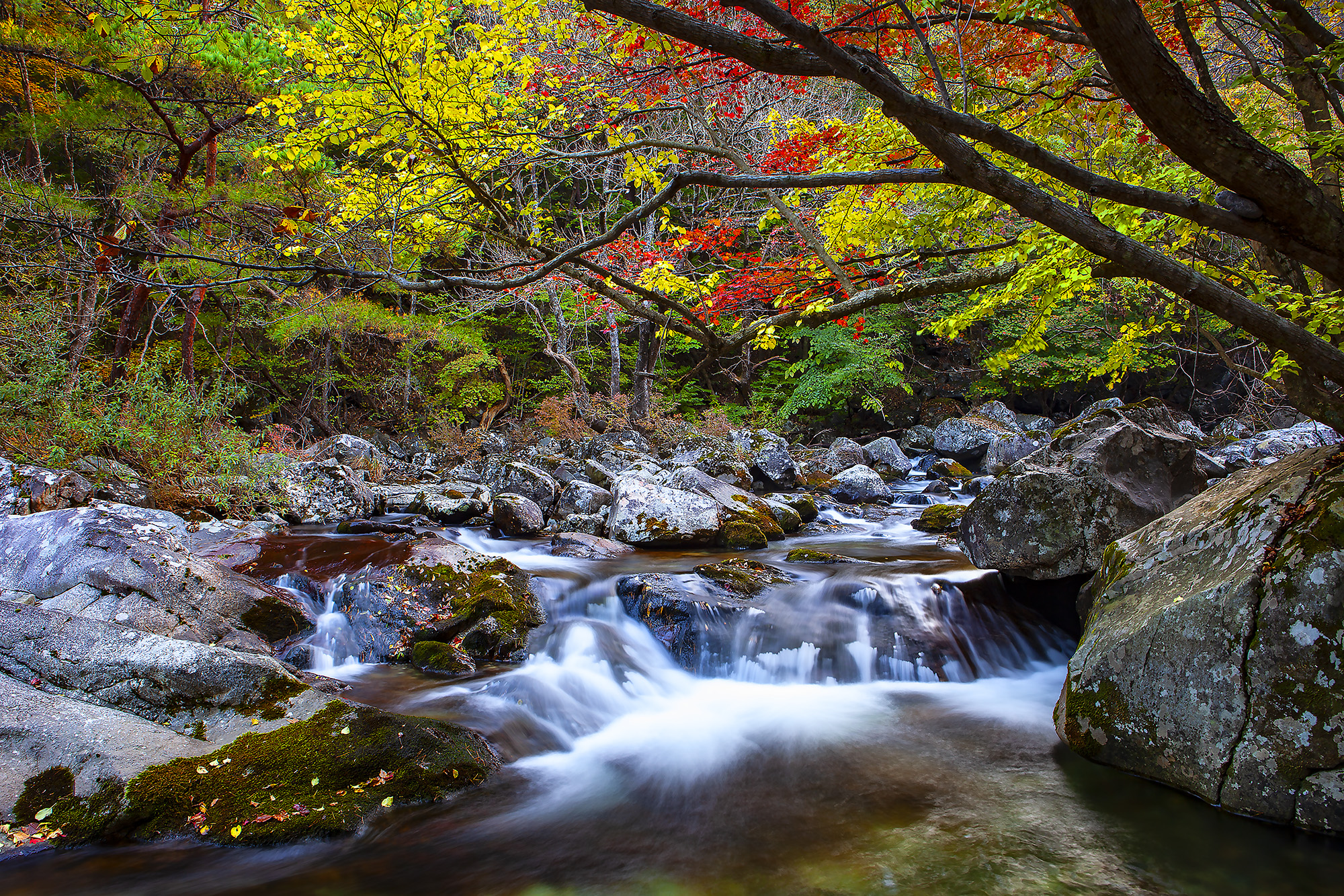무주구천동의 가을