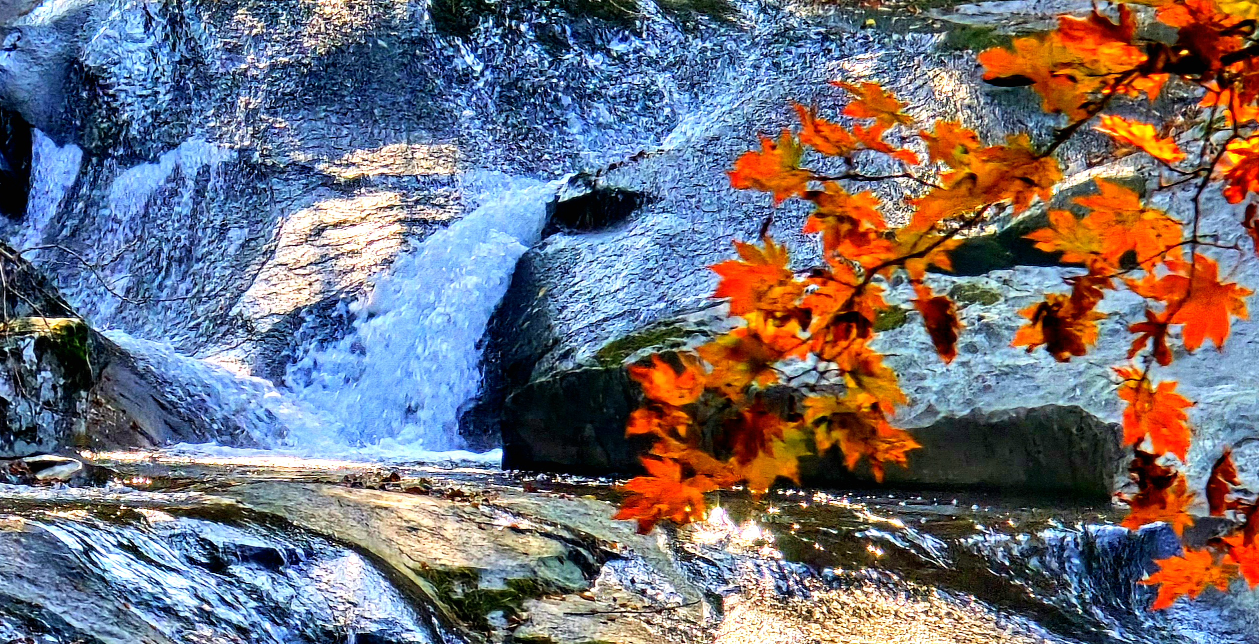 구천동의 가을1