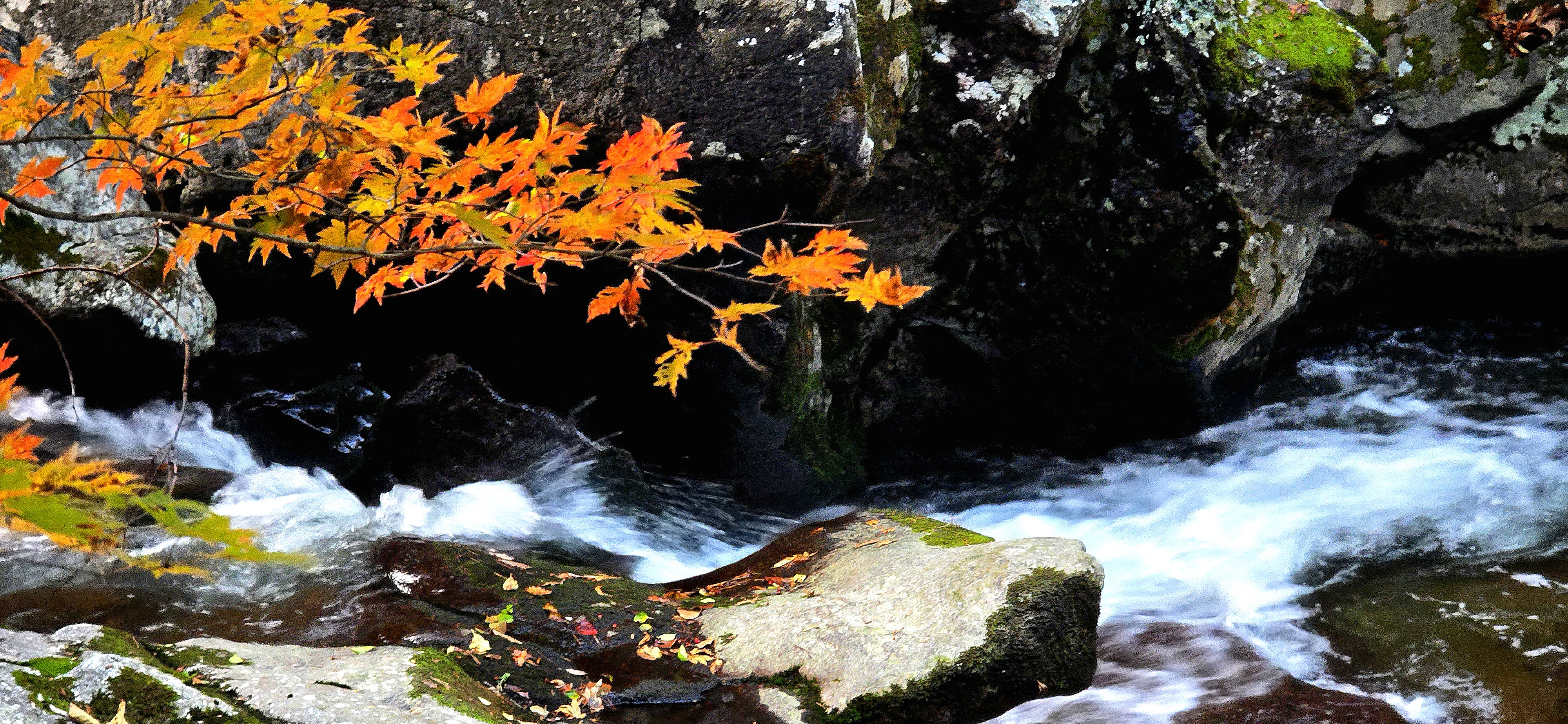 구천동의 가을1