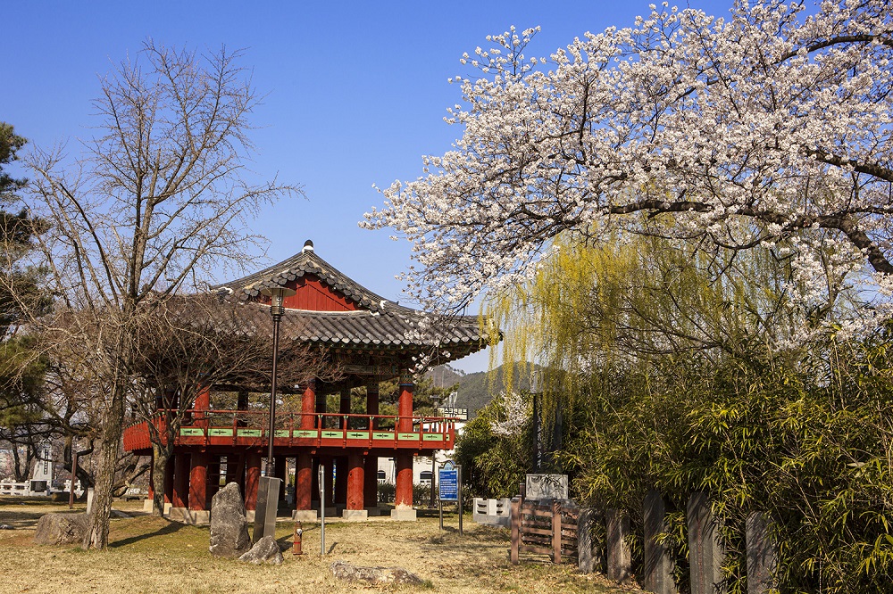 지남공원의 봄