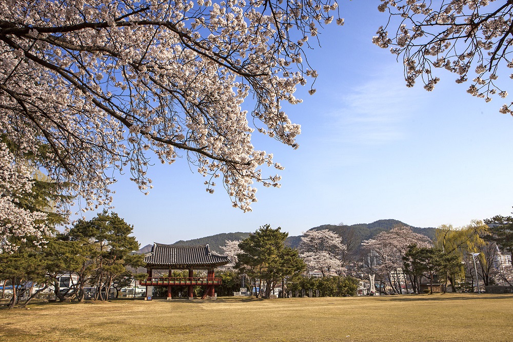 지남공원의 봄