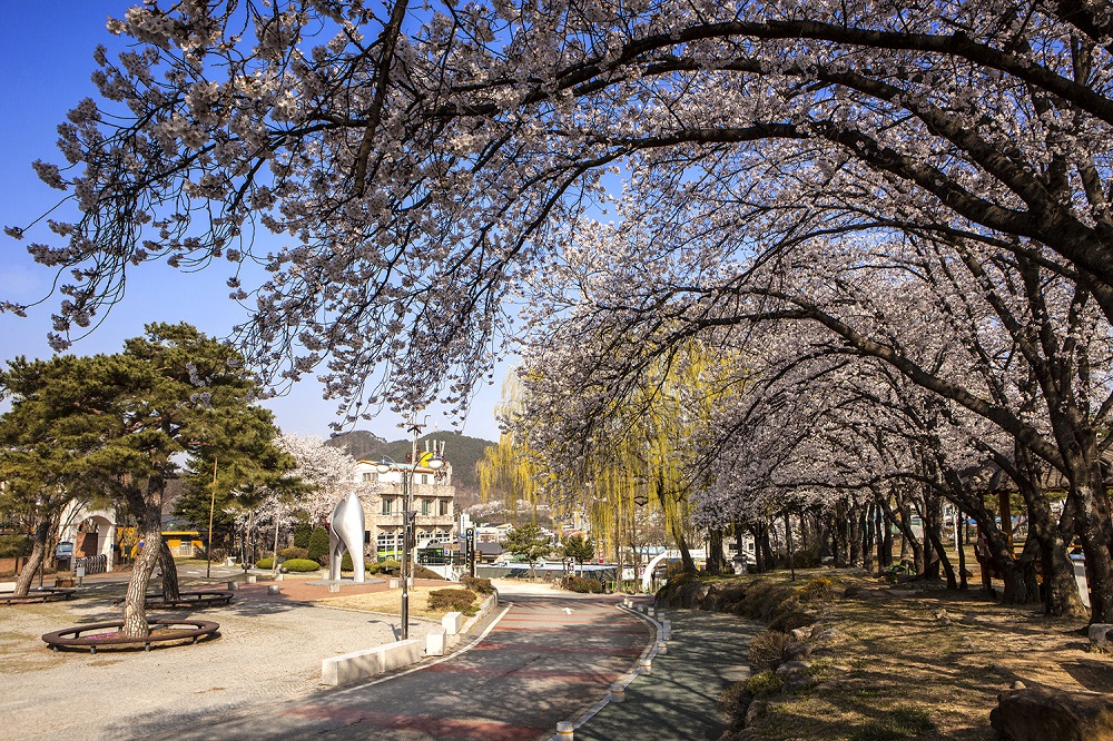 지남공원의 봄